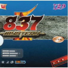 837 Mystery I