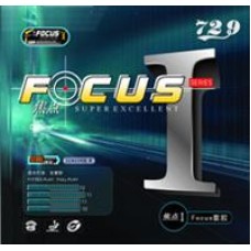 Focus I